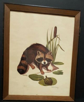 Bill Wesling Hand Signed Framed Raccoon & Turtle Limited Ed Lithograph Art Print