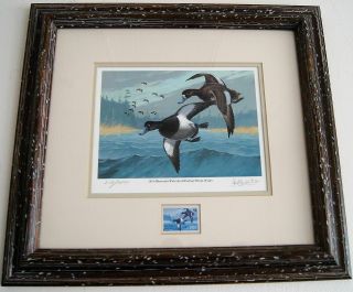 Les C.  Kouba 1978 Minnesota Waterfowl Hunting Stamp Print Frame Size 18.  5 " X 17 "