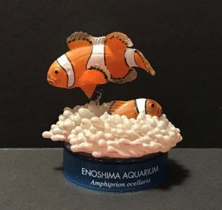 Kaiyodo Japan Exclusive Enoshima Aquarium Clownfish Clown Fish Nemo Figure