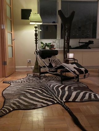 Vintage African Burchell Zebra Hide Rug