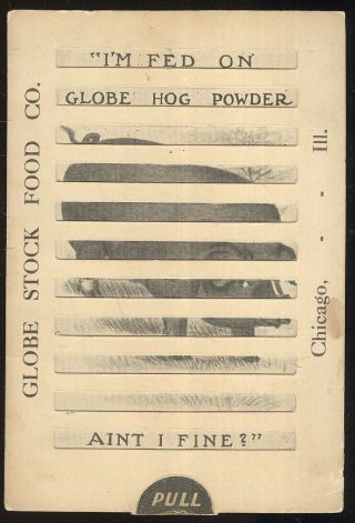 1908 Globe Stock Food Co.  Chicago Mechanical Advertising Card,  Hog Powder