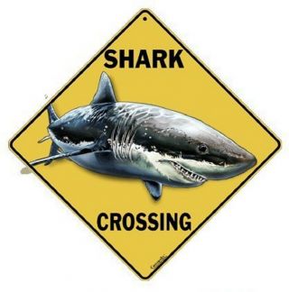 Shark - Great White - Crossing Sign,  12 By 12 Metal - - 16 " Diagonal - Indoor/outdoor