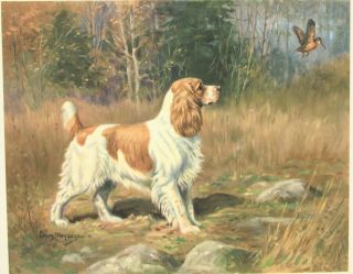4 Color Advertising Prints Of Hunting Dogs By Edwin Megargee - Schenley Bourbon