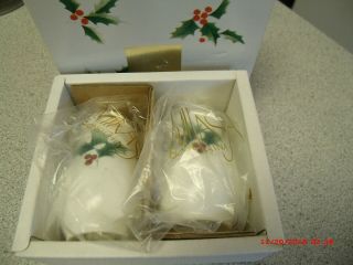 Mikasa Ribbon Holly Salt & Pepper Set Only Once : -)