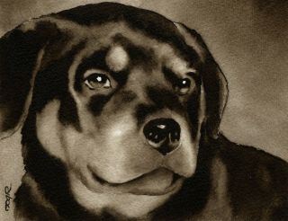 Rottweiler Puppy Note Cards By Watercolor Artist Dj Rogers
