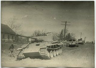 Wwii Large Size Photo: Abandoned German Panzer V Panther Tanks,  Western Ukraine