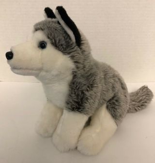 Toys R Us Siberian Husky 11 " Wolf Puppy Dog Plush 2015 Stuffed Animal