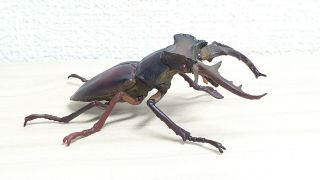 Yujin Kaiyodo Prosopocoilus Inclinatus Stag Beetle Animal Insect Figure
