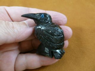 (y - Bir - Ra - 101) Lil Black Raven Crow Onyx Carving Peru Figurine Bird Noir Ravens