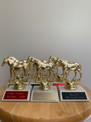 Set Of Six Gold Tone Horse Trophies Great For Reuse