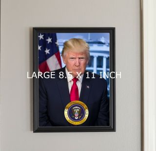 Framed Official Portrait Of President Donald J Trump With Seal 8.  5 X 11 Photo