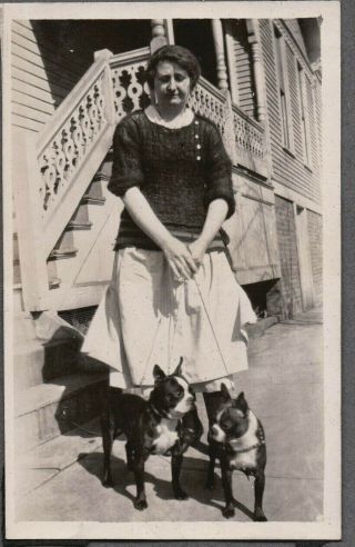 Vintage Photograph 1920 Girls Fashion Boston Terrier Dogs/puppies Harness Photo