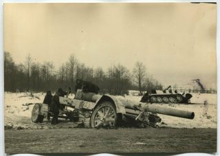 Wwii Large Size Press Photo: Destroyed German Half - Tracked Vehicle & Cannon