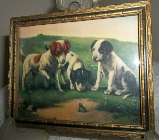 Antique Adorable Three Beagles? Dogs Looking At Frog Old Wood Frame With Glass
