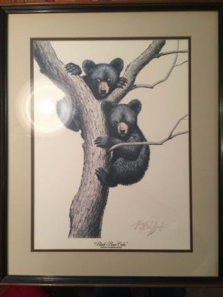 " Black Bear Cubs ",  Guy Coheleach,  Signed Print,  1974,