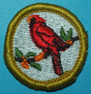 Bird Study Type G Merit Badge - Cloth Back - Boy Scouts - 10104