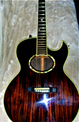 Vintage Washburn Acoustic Elec Cutaway Guitar Monterey Custom Martin Gibson