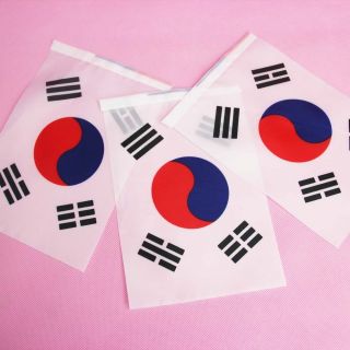 100pcs South Korea 