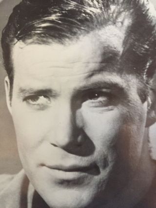 Vintage Black & White Poster William Shatner As Kirk Star Trek 17.  5” X 23” 2