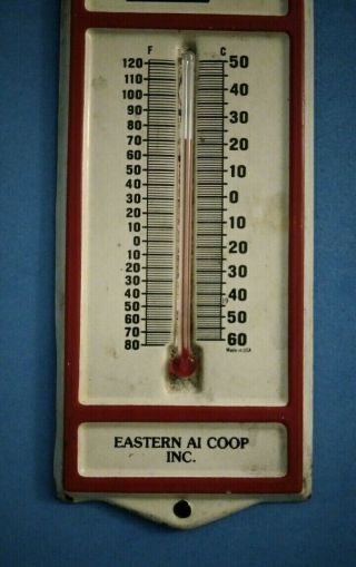 Vintage Eastern AI Co - Op tin metal Thermometer farm cow feed seed advertising 3