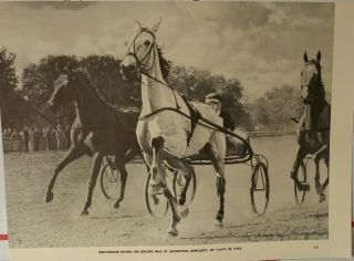 Vintage Greyhound Cart Record Racehorse Horse George Ford Morris 1952 Print