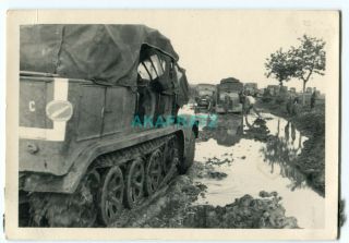 German Ww2 Photo,  Sd.  Kfz.  11 Half Track And Trucks In Russian Mud,  Unit Insignia