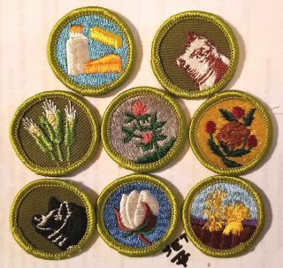 Boy Scout Merit Badges,  Set Of 8,  Bsa,  Historical Collectibles 7