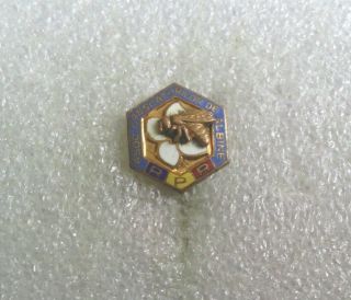 Romanian Beekeepers Association 1960s Old Enameled Pin/badge
