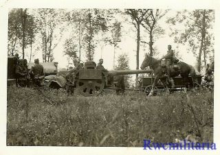 Great Wehrmacht Horse Drawn Sfh.  18 15cm Artillery Moving On French Road; 1940