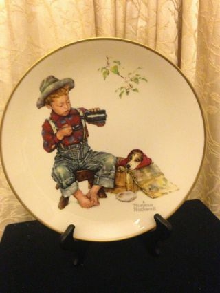 1971 Gorham China Limited Edition Norman Rockwell " Summer - The Mysterious Malady "