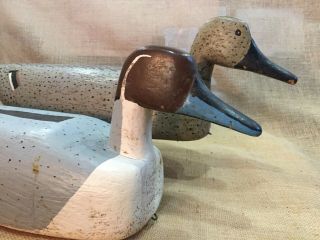 Vintage Over - Sized Louisiana Pintail Wood Duck Decoy Pair By Alphonse Verdin