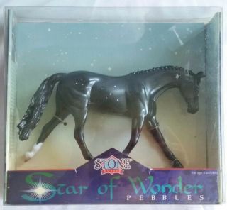 Peter Stone Warmblood Pebbles Horses Star Of Wonder 2004 Nip