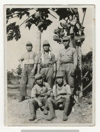 Wwii Japanese Photo: Army Soldiers In Pacific War