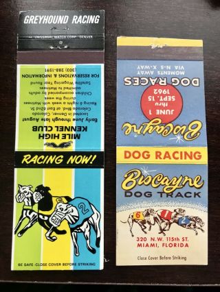 Greyhound Racing (dog Racing) : Biscayne Dog Track Mile High