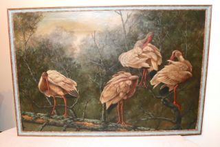Large Vintage L.  Junhui Realistic Exotic Birds Forrest Oil Painting
