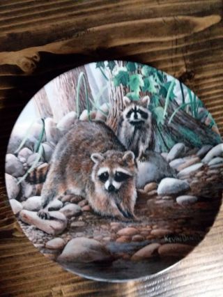 Vintage Kevin Daniel Knowles Collector Plate The Raccoon