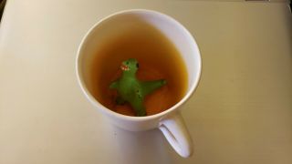 T - Rex Mug Spademan Pottery Animug T Rex In A Cup Hidden Dinosaur Mug