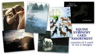 12 Assorted Equine Horse Sympathy Cards Veterinarian Farrier Rescue