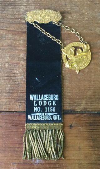 Pap Loyal Order Of Moose Lodge No 1156 Ribbon Medal Pin Wallaceburg Ontario