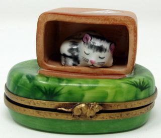Limoges Trinket Box Peint Main Hinged Cat In A Box Claspped 2.  5x2.  25 "