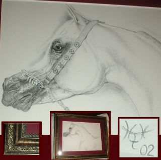 Arabian Horse Head Etching Framed Matted & Artist Signed/17 " X 21 "