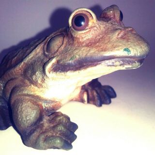 Realistic Life Sized Resin Bullfrog Figurine Indoor Outdoor Hand Painted 5.  5 "