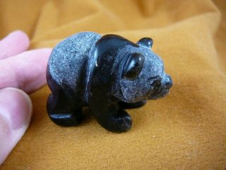 Y - Pand - Wa - 554) Little Baby Black Onyx Panda Bear Bears Carving Figurine Gemstone