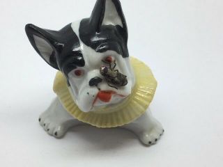 Vintage " Sermany " Porcelain Ceramic English Bull Terrier With Bug On Nose