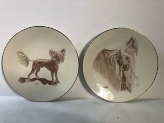 Laurelwood American Chinese Crested Dog Porcelain Collector Plates 1992 1993