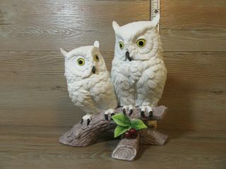 Snow Owls Sitting On A Branch Red Berries Andrea By Sedak Figurine Winter Decor