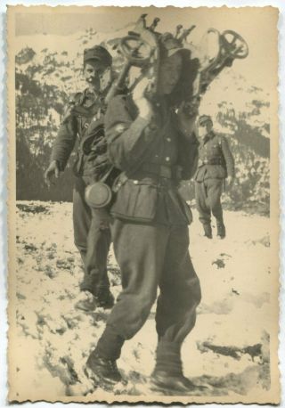 German Wwii Archive Photo: Gebirgsjäger - Mountain Troops Soldier With Skis