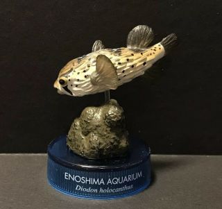 Kaiyodo Japan Exclusive Enoshima Aquarium Porcupine Puffer Fish Figure