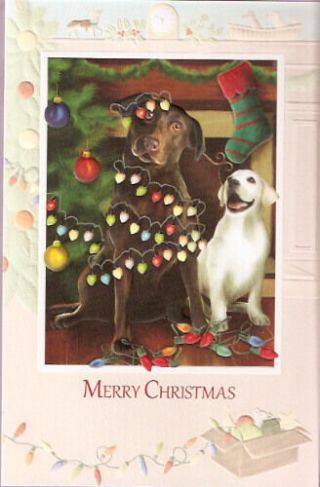 Labrador Retriever Lab Another Fine Mess Embossed Christmas Cards Box Of 16