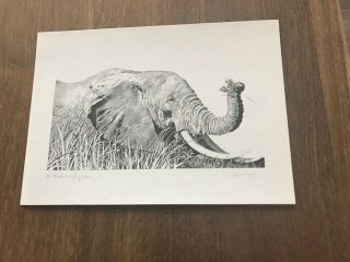 Signed By Glenn Irving Limited Edition Of 100 Elephant Print Of Pencil Sketch
